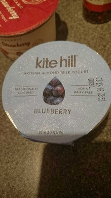 Blueberry, artisan almond milk yogurt